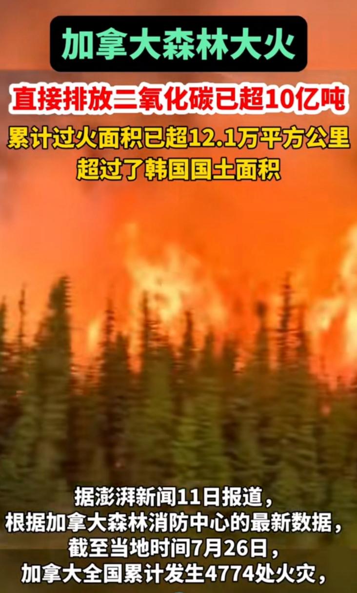 2025年5月16日 第4页