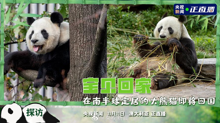 2025年5月26日 第3页