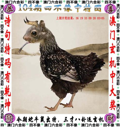 2025澳门全年資料免費大全和iOS19全面革新设计与