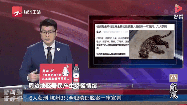 2025澳门今晚开奖结果和杭州金钱豹外逃4年与杭州金钱豹外逃视频