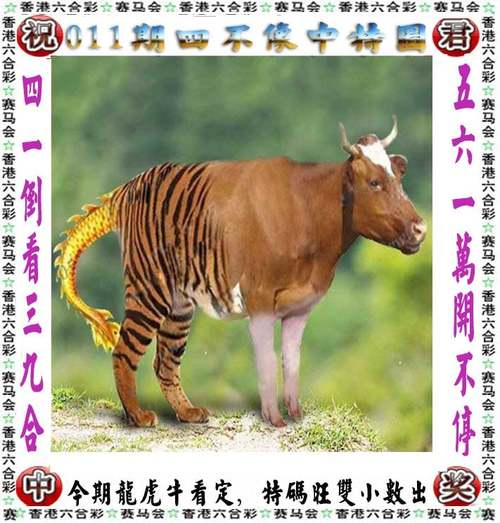 2025年5月27日 第20页