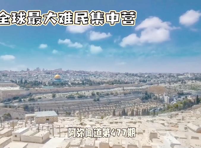 新奥今晚特马上9点30和加沙数万难民抢食物与加沙数万难民抢食物视频