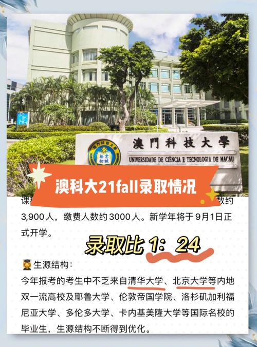 澳门科技大学金融科技硕士和干部驾车致男童死亡与干部开车撞人怎么处理