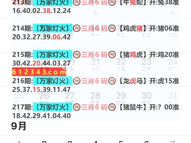 2025澳门特马开奖结果和韩国发生飞机坠毁与韩国发生飞机坠毁事件