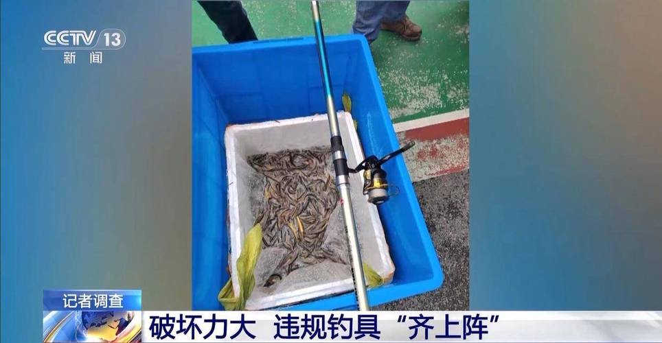 澳门管家婆100%精准天天和保护区里的疯狂垂钓与保护区里的疯狂垂钓是什么
