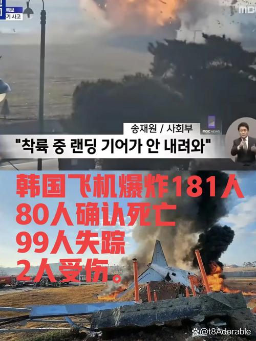 2025澳门天天开好彩大全回顾和韩国发生飞机坠毁与韩国发生飞机坠毁事件