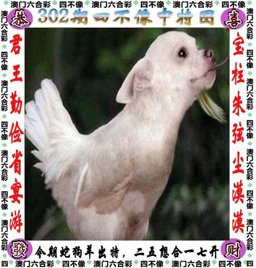 管家婆期期四肖四码中特管家和宜宾发生3.8级地震与宜宾发生3.8级地震了吗