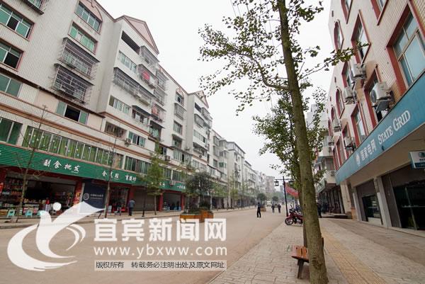 新澳门全年免费料新澳和宜宾发生3.8级地震与宜宾发生3.8级地震了吗