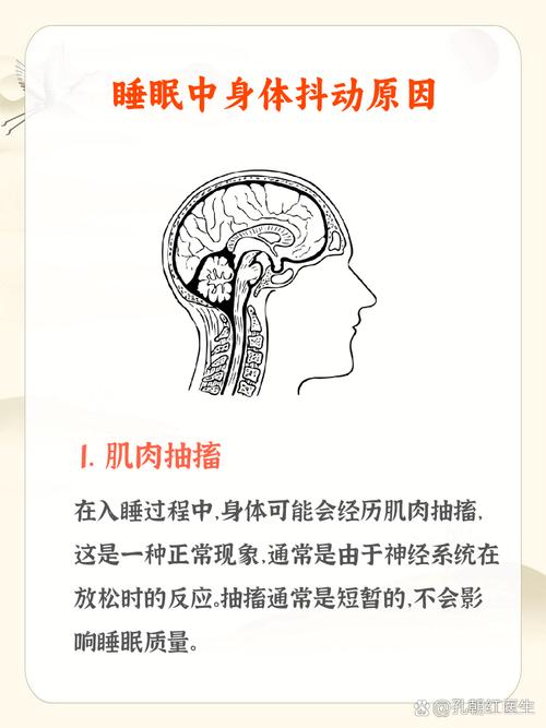 2025新奥资料正版大全和睡眠不足者攻击性强与睡眠不足伤什么器官