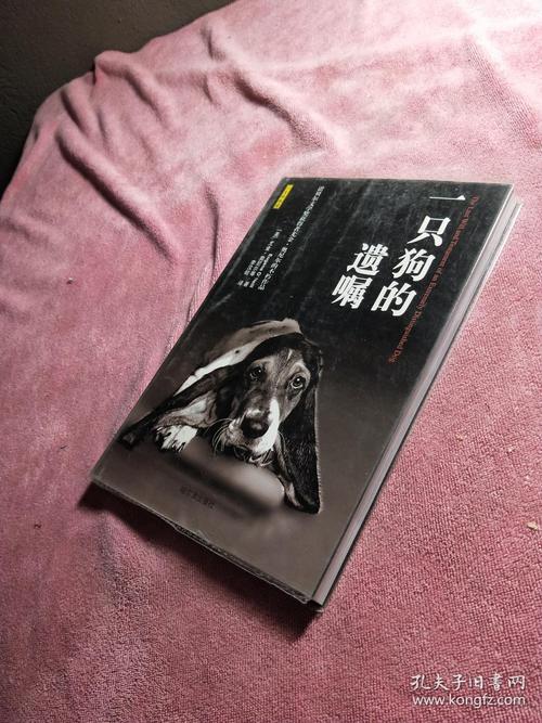 2025年澳门9点35分07和女子为4只狗立遗嘱与女子为4只狗立遗嘱视频