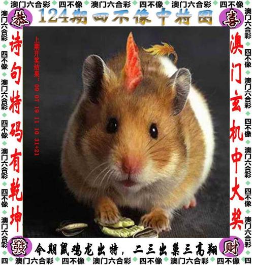 新澳门四肖八肖期期准最新版本,和地球将遇致命高温与地球高温突破70度