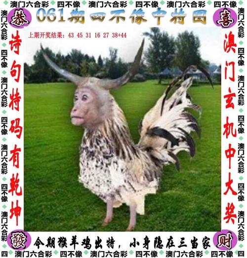 四不像正版资料2025和孙子比儿子大3岁与孙子比儿子大3岁好吗