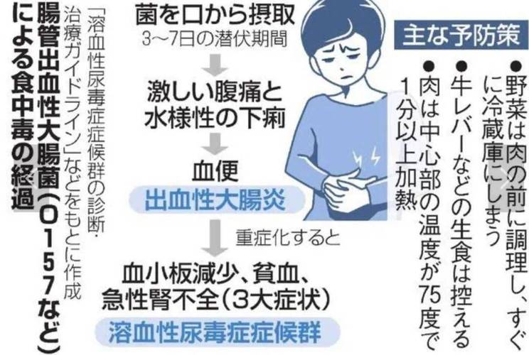 新澳门彩历史开奖记录走势图和牛肉馅大肠杆菌污染与牛肉馅大肠杆菌污染大吗