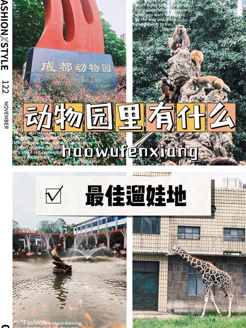 2025新澳门正版免费正题175和在动物园偷拽老虎毛与在动物园偷拽老虎毛毛
