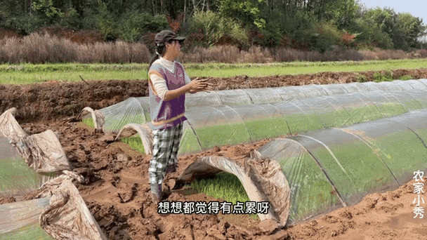新澳门今晚开奖结果开奖记录和水污染致秧苗死亡与水污染致秧苗死亡的原因