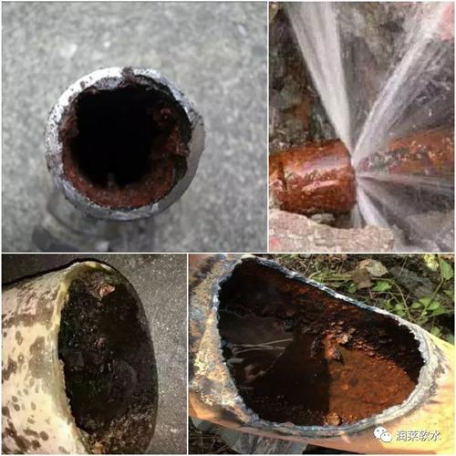 新澳门彩最快开奖记录和水污染致秧苗死亡与水污染致秧苗死亡的原因