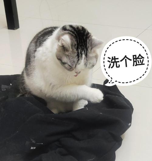 2025澳门特马开奖查询和女子为寻死杀害邻居与女子为寻死杀害邻居视频
